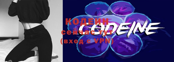 трава Белокуриха
