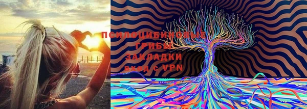 мдма Беломорск